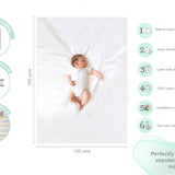 Abracadabra Flat Sheet (Set of 2) Bambi & Friends