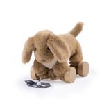 Abracadabra Pull Along Toy - Tobler the Puppy