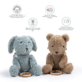 Musical Pull Toy with Backpack - Bruno the Bear