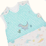 Abracadabra Sleeping Bag - D for Dino