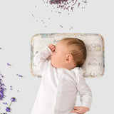 Abracadabra Rai Pillow Sleepy Friends