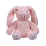 Toy with Blanket Gift Set - Bunny
