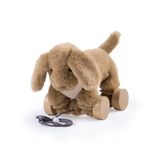 Abracadabra Pull Along Toy - Tobler the Puppy