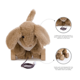 Abracadabra Pull Along Toy - Tobler the Puppy