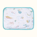Rai Pillow - D for dino